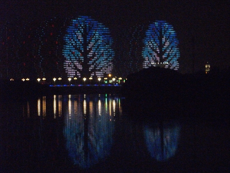 dscf0739.jpg