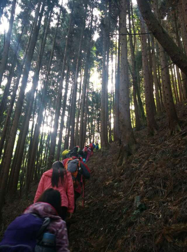 qqͼƬ20160504221539.jpg