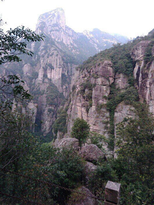 qq图片20160511103349.jpg