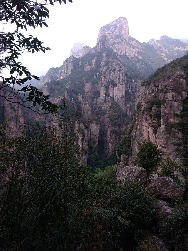 qq图片20160511103428.jpg