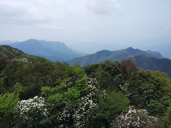 img_20160501_125707.jpg