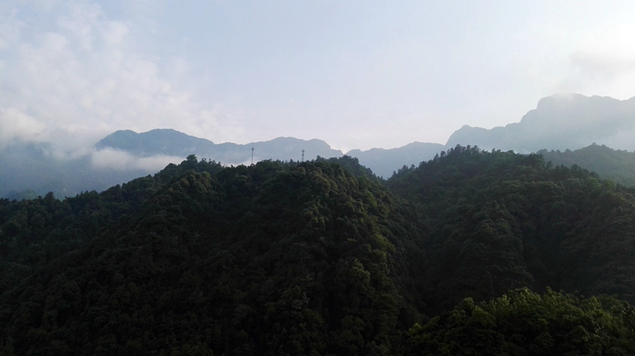 img_20160502_173256.jpg