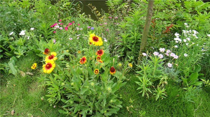 dsc08644_.jpg