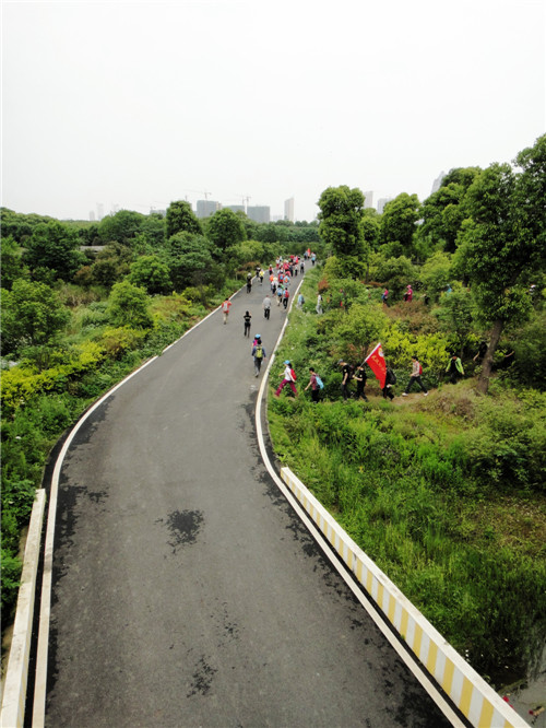 dsc08636_.jpg
