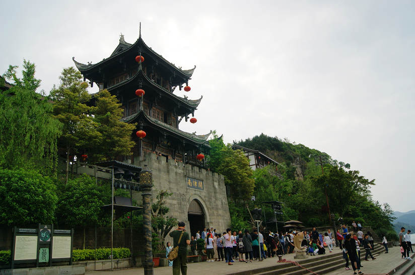 dsc08122.jpg