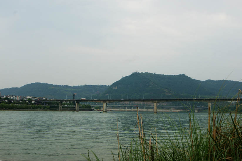 dsc08124.jpg