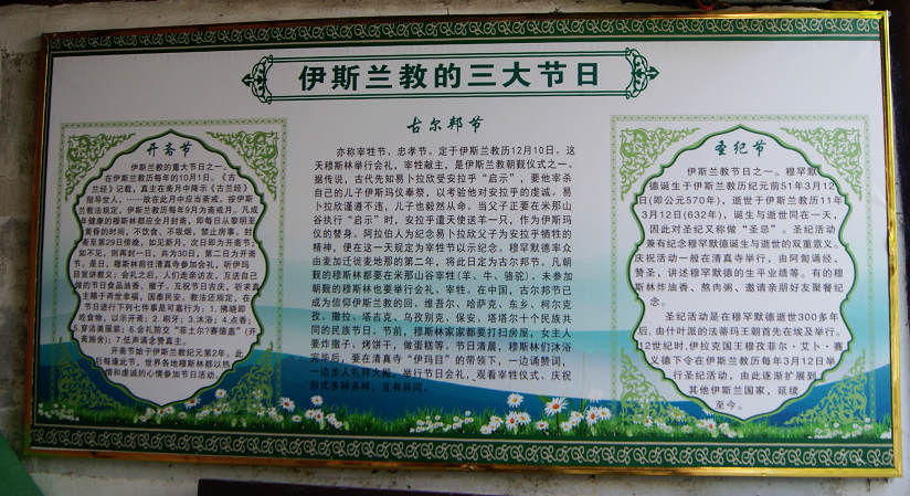 dsc08173.jpg