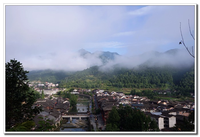 dsc08736.jpg