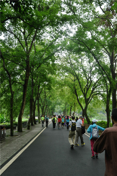 dsc_9431_.jpg