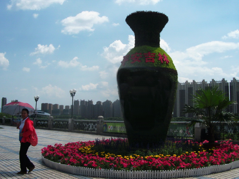 dscf0156.jpg
