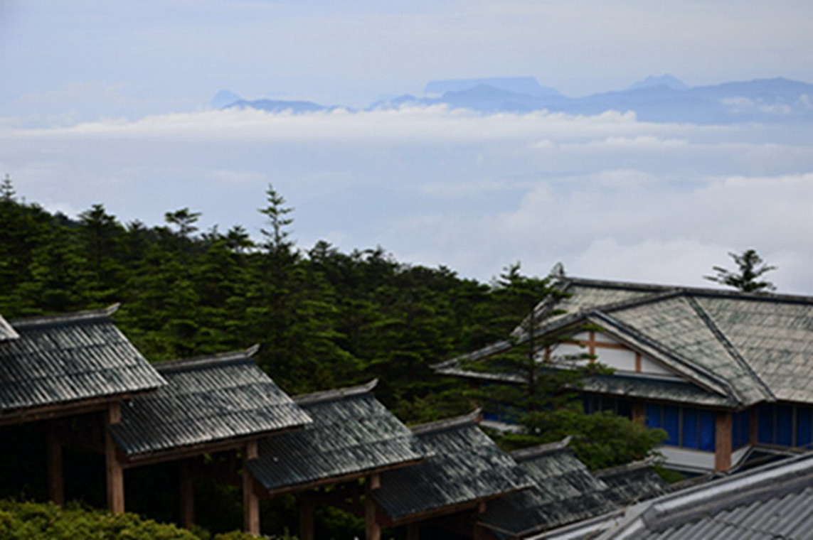 _dsc0559a.jpg