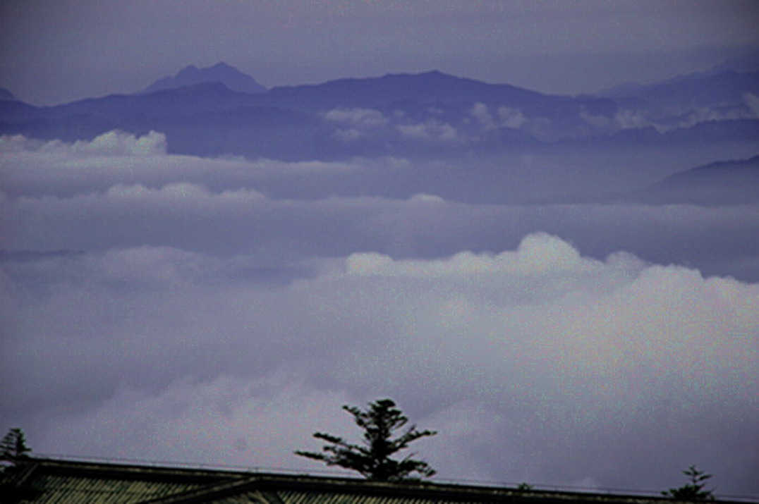 _dsc0561a.jpg