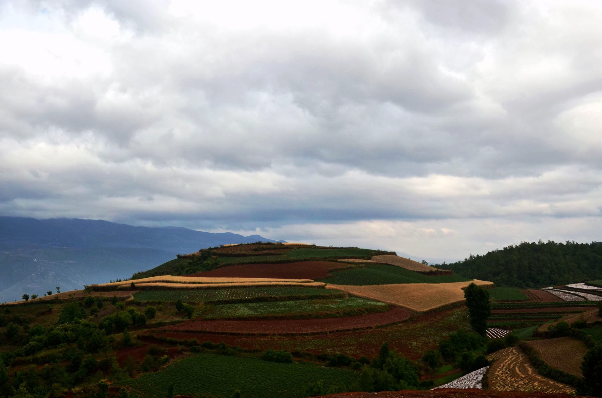 dsc_1952_ͼ_ͼ.jpg