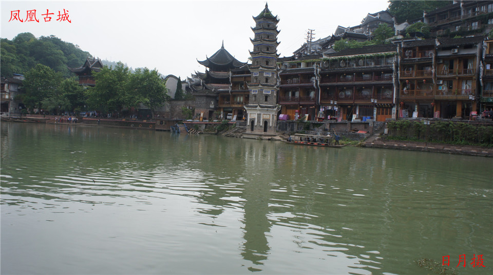dsc00905_.jpg