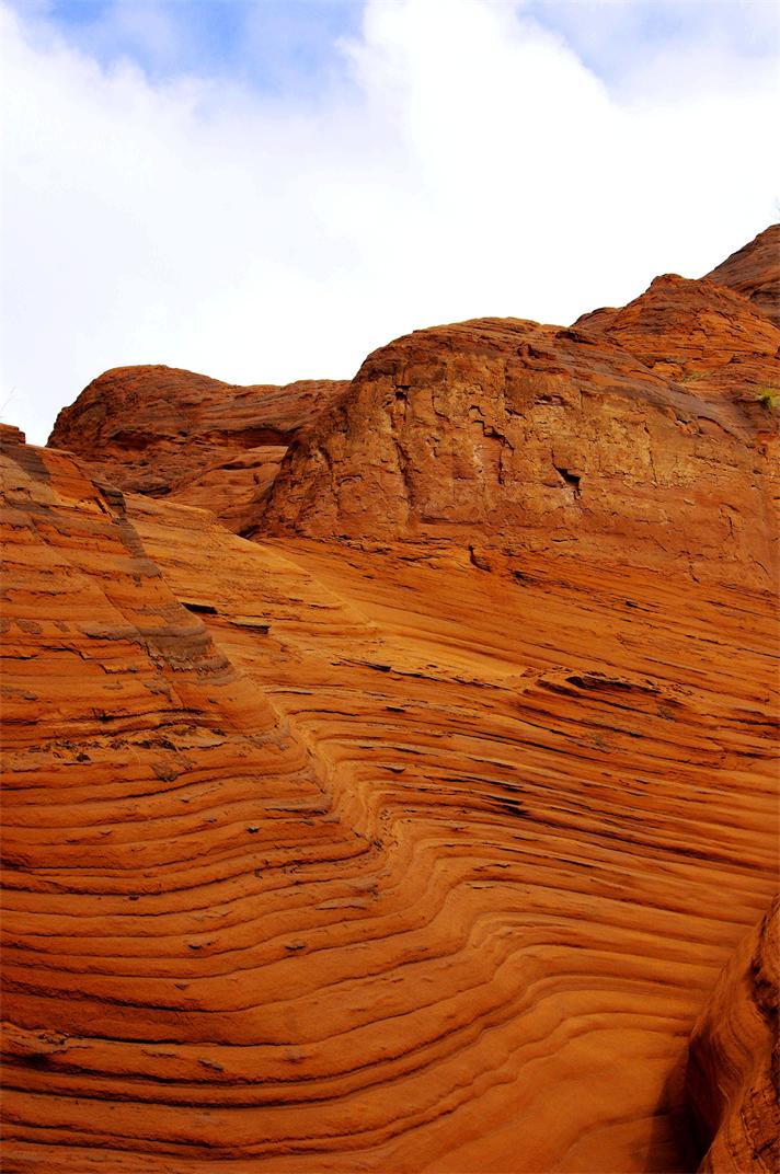 _igp3674_.jpg