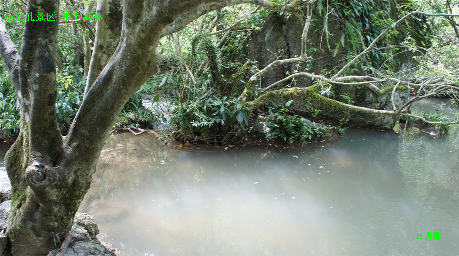 dsc01098_副本.jpg
