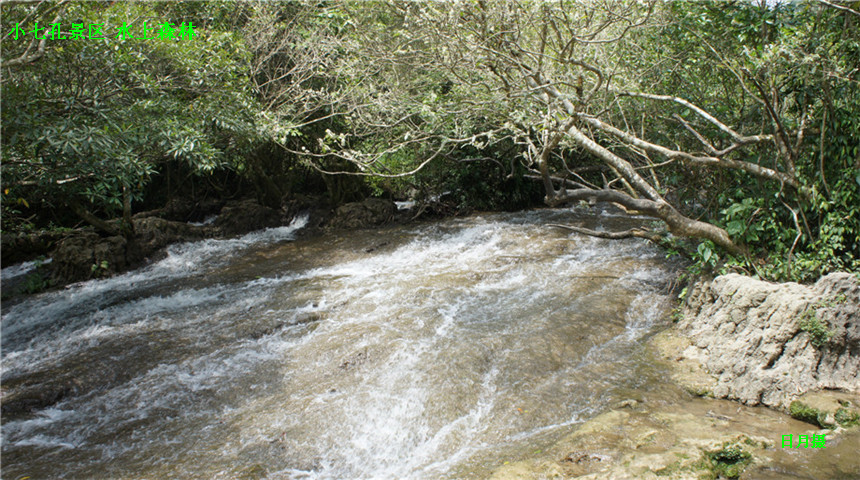 dsc01100_副本1_副本.jpg