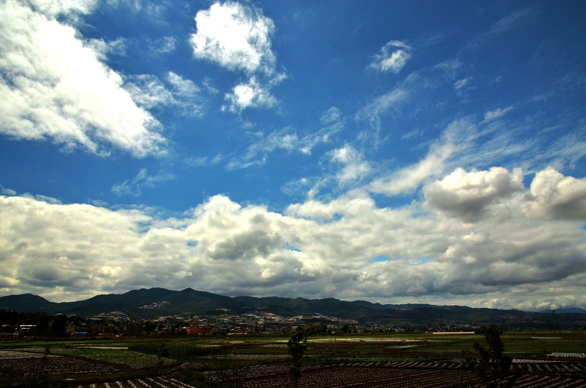 dsc_1904_ͼ_ͼ.jpg