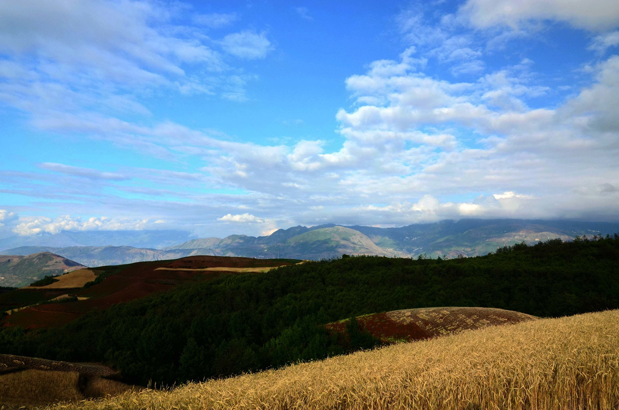 dsc_2068_看图王_看图王.jpg