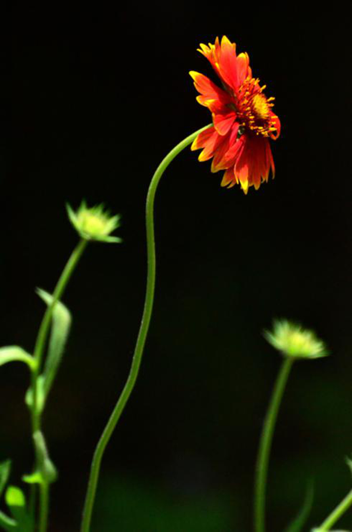 dsc_9777.jpg