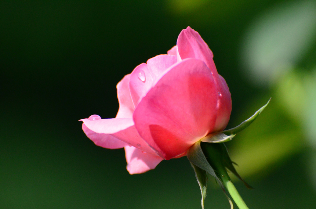 dsc_8919.jpg
