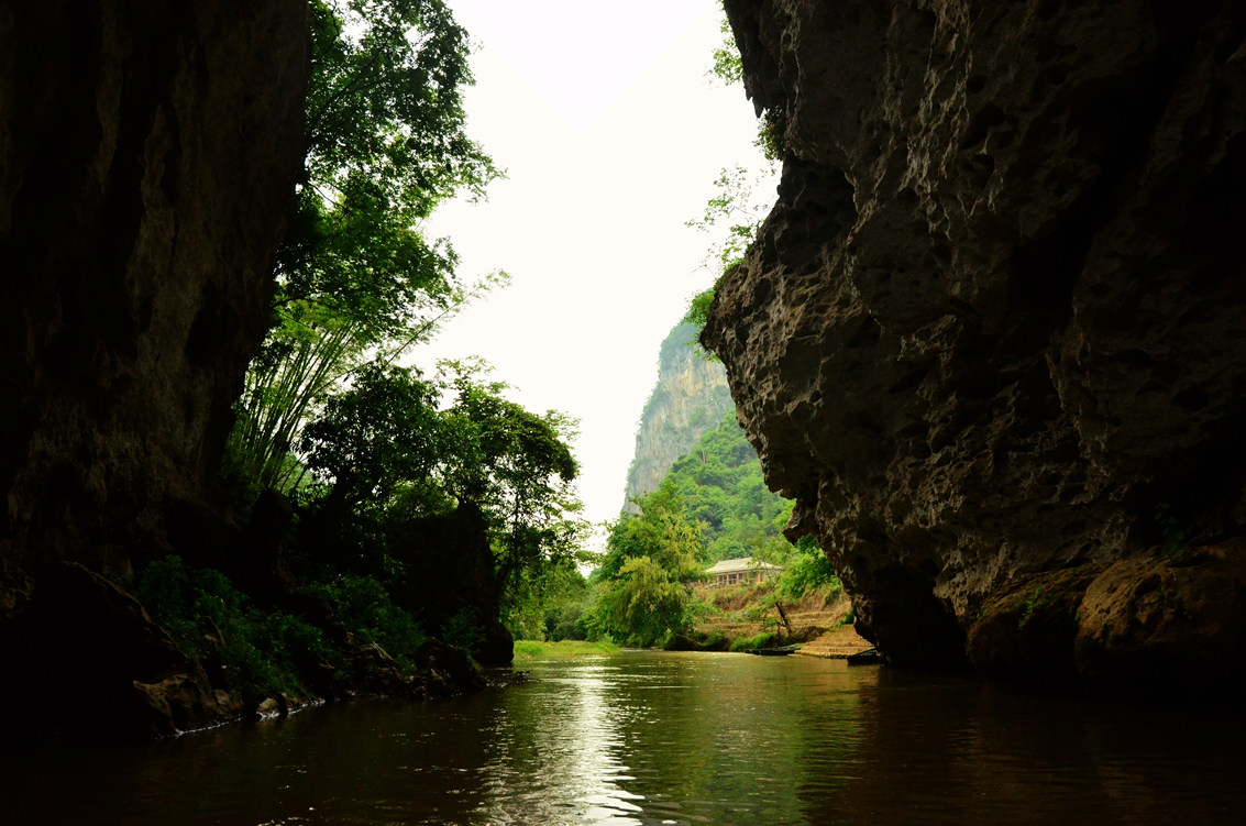 dsc_1464.jpg