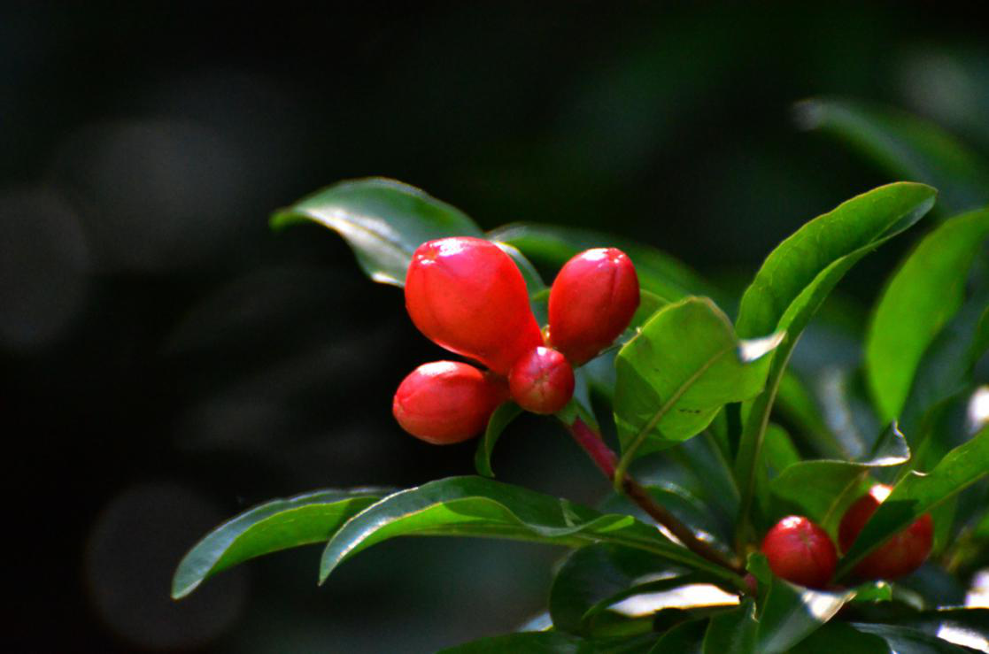 dsc_9674.jpg