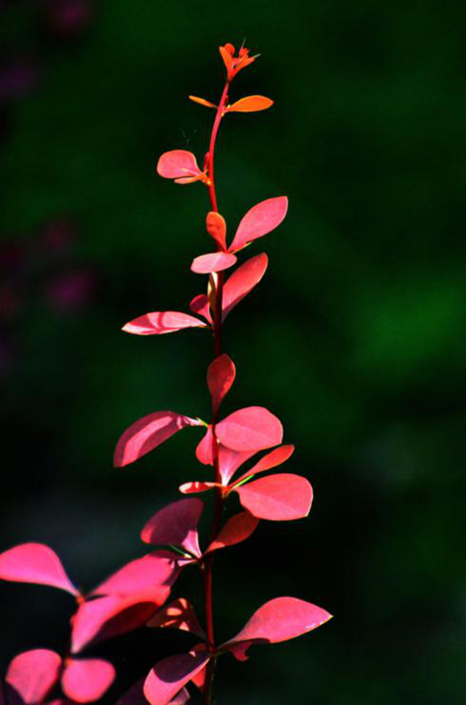 dsc_9683.jpg