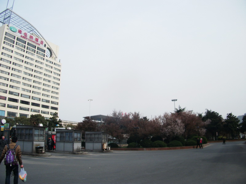 dscf1105.jpg