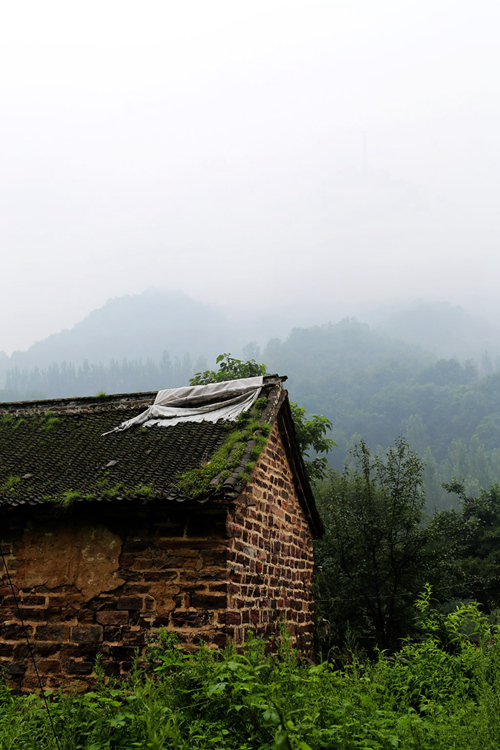 img_5569__.jpg