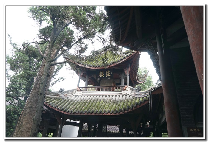 dsc09280.jpg