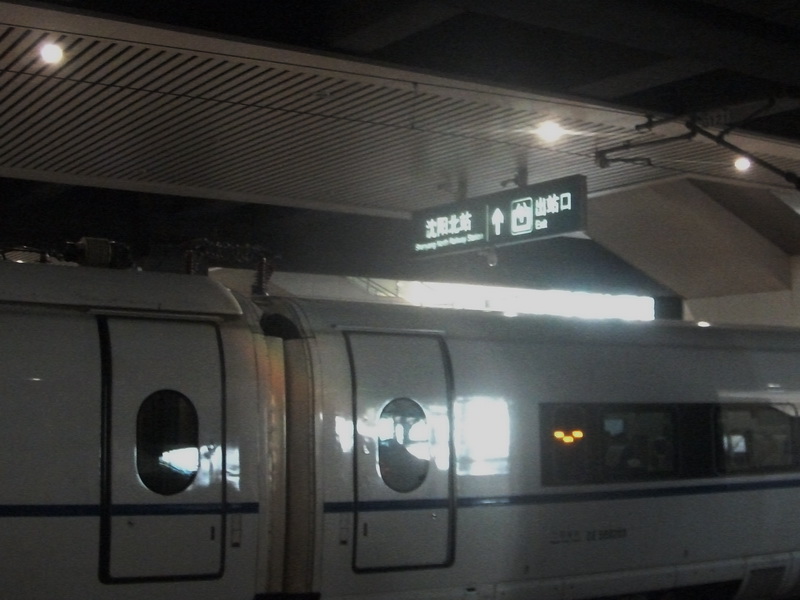 dscf0010.jpg