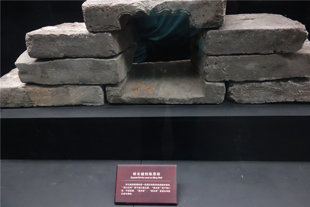 dsc01200.jpg