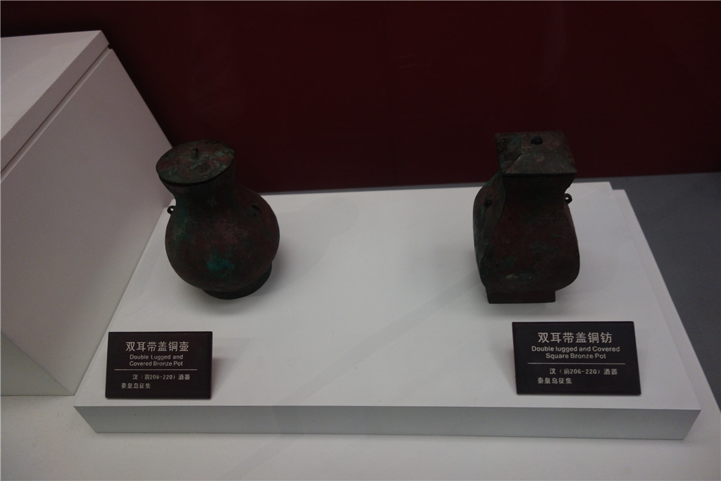 dsc01217.jpg