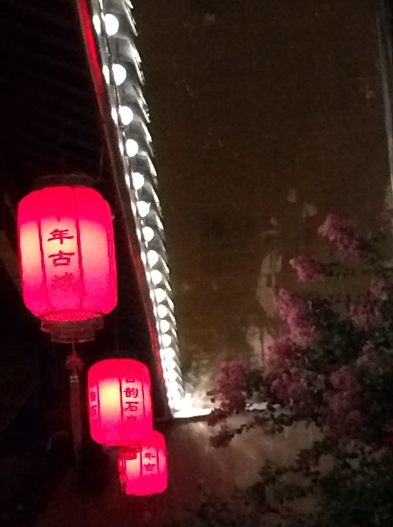 陇南行.jpg
