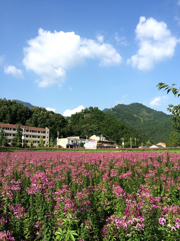 陇南行.jpg