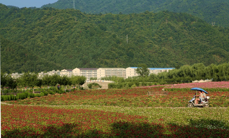 _mg_8804.jpg