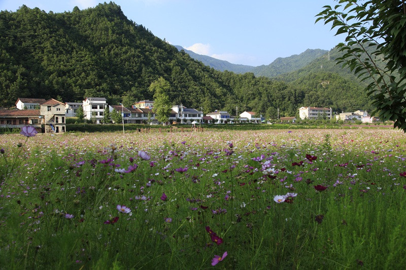_mg_8805.jpg