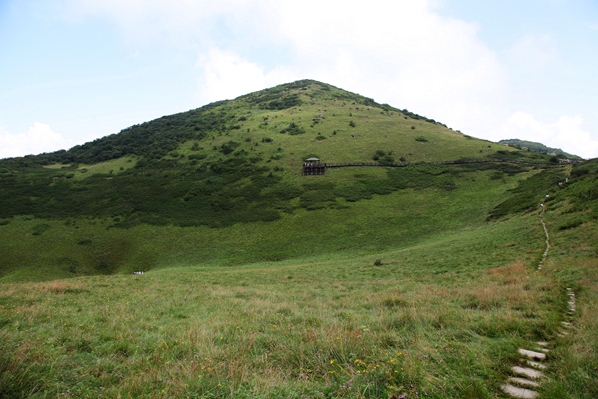 img_9489.jpg