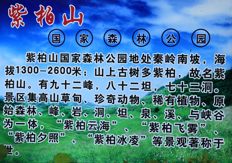 _mg_8849.jpg