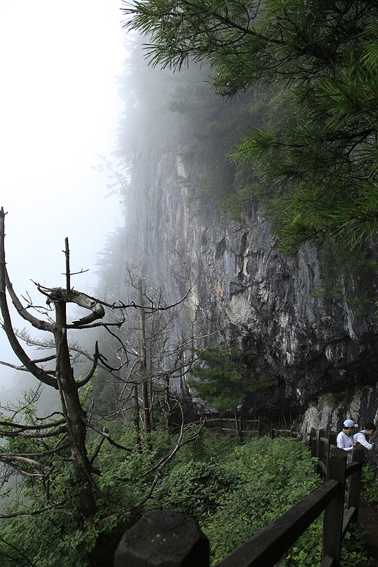 _mg_8857.jpg