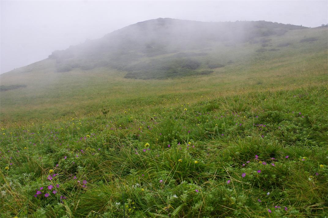 _igp5435.jpg