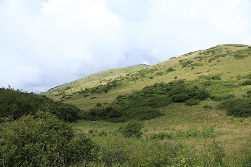 _mg_8963.jpg