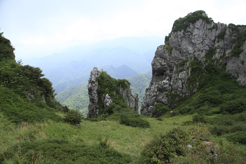 _mg_8967.jpg
