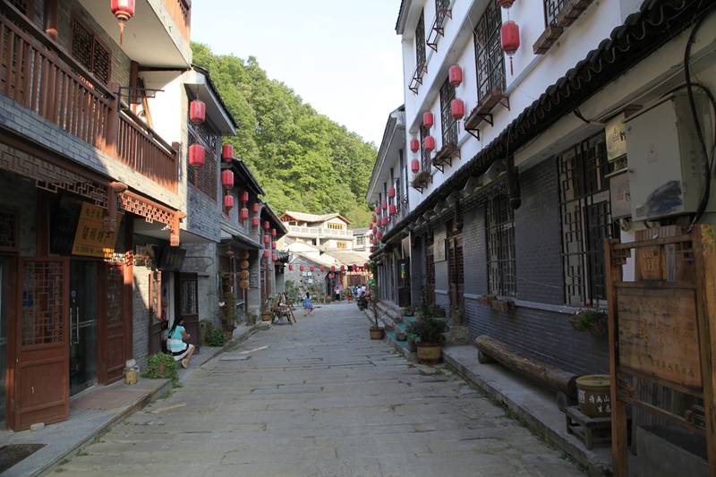 _mg_9016.jpg