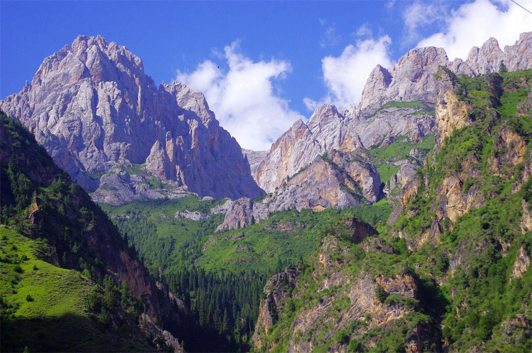 _igp6083.jpg