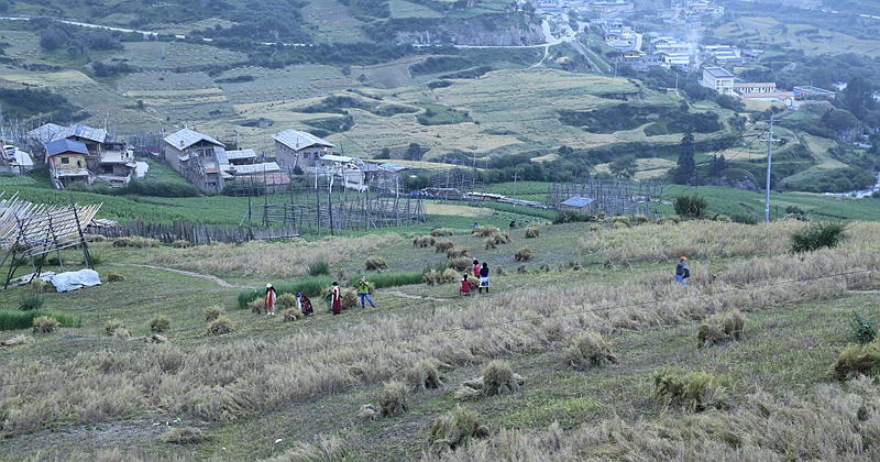 _mg_9252.jpg