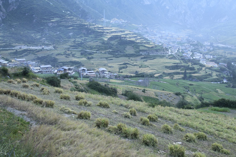 _mg_9260.jpg