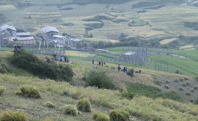 _mg_9293.jpg