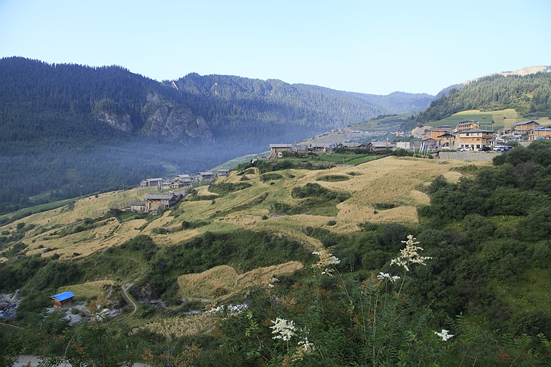 _mg_9335.jpg